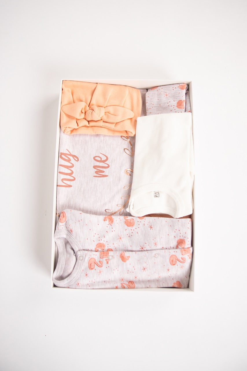 Ameelia & Co - Hug Me Newborn Flamingo Baby Clothing Set (9-piece)